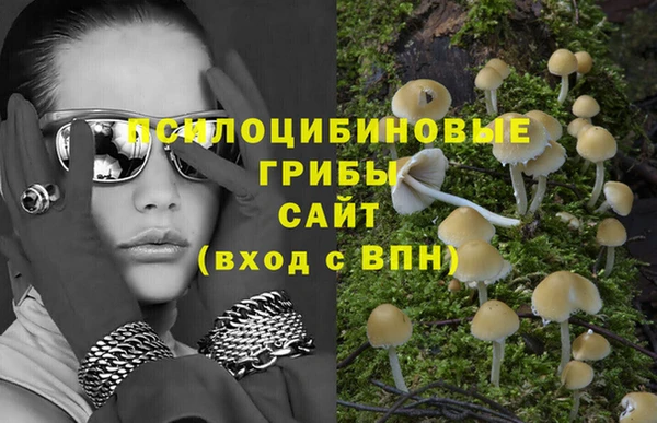 мяу мяу мука Баксан
