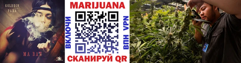 где можно купить   Благодарный  ОМГ ОМГ как зайти  Марихуана планчик 